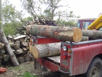  back home, and one of the larch lengths sitting on some purpose made brackets